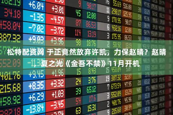 松特配资网 于正竟然放弃许凯，力保赵晴？赵晴，夏之光《金吾不禁》11月开机