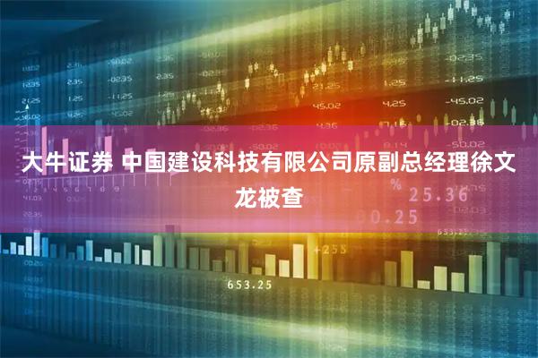 大牛证券 中国建设科技有限公司原副总经理徐文龙被查
