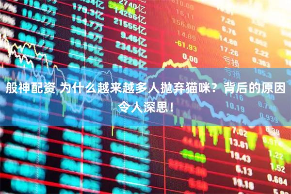 般神配资 为什么越来越多人抛弃猫咪？背后的原因令人深思！