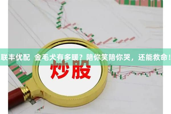 联丰优配  金毛犬有多暖？陪你笑陪你哭，还能救命！