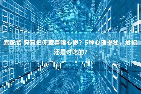 鑫配资 狗狗拍你藏着啥心思？5种心理揭秘，爱你还是讨吃的？