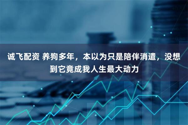 诚飞配资 养狗多年，本以为只是陪伴消遣，没想到它竟成我人生最大动力