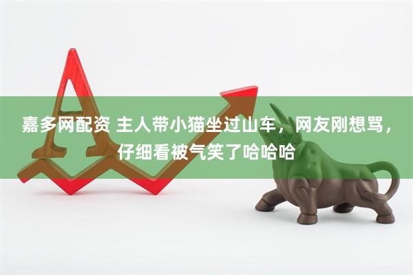 嘉多网配资 主人带小猫坐过山车，网友刚想骂，仔细看被气笑了哈哈哈