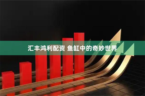 汇丰鸿利配资 鱼缸中的奇妙世界